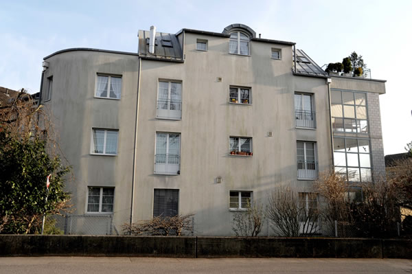 Fassade mit Alegenbefall